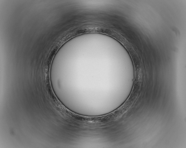 X0000112020737200908031041