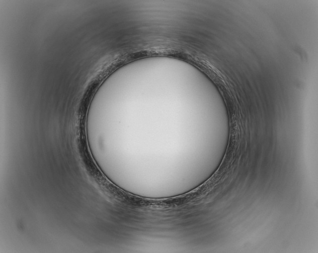 X0000112020738200908031041