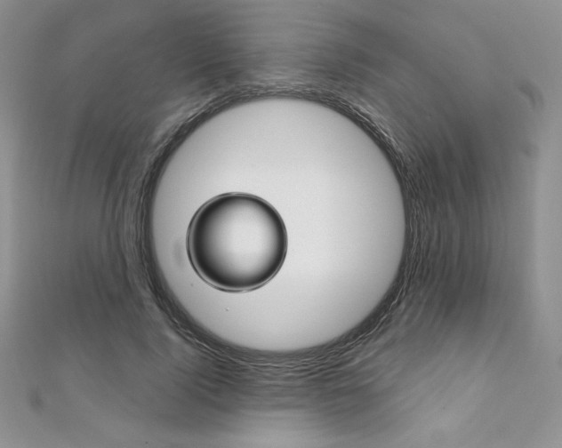X0000112020740200908031041