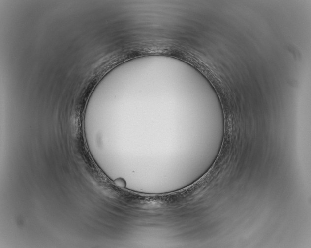 X0000112020741200908031041