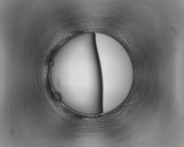 X0000112020742200908031041