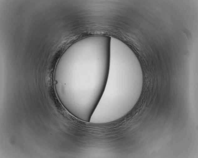 X0000112020743200908031041
