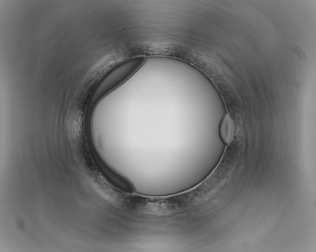 X0000112020744200908031041