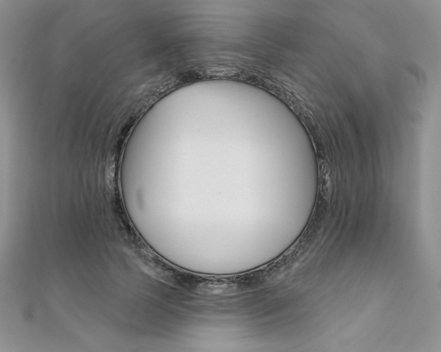 X0000112020745200908031041
