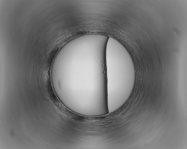 X0000112020746200908031041