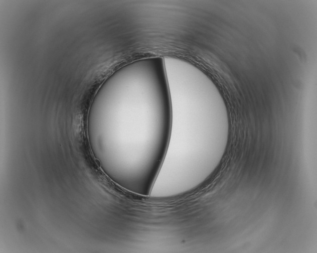 X0000112020748200908031041