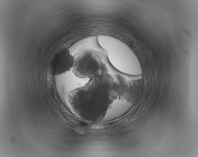 X0000112020749200908031041