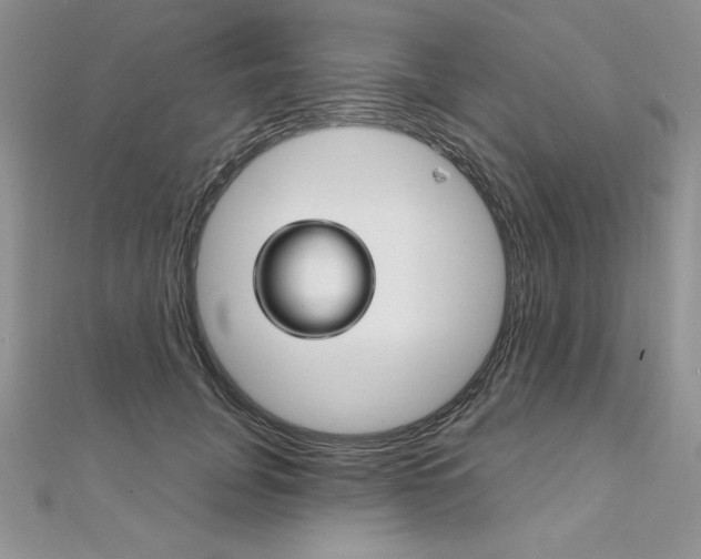 X0000112020751200908031041
