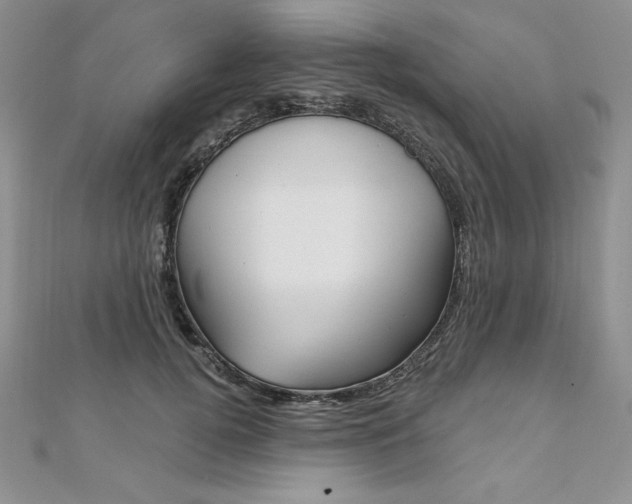 X0000112020752200908031041