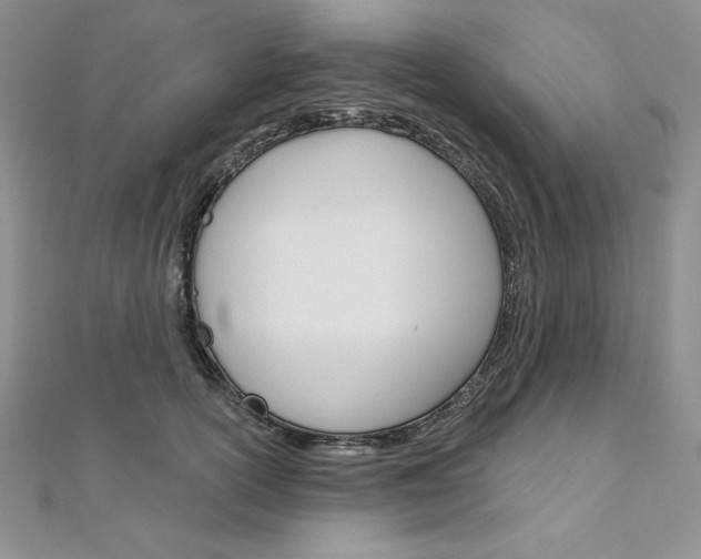 X0000112020754200908031041