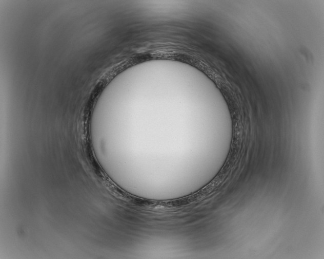 X0000112020755200908031041