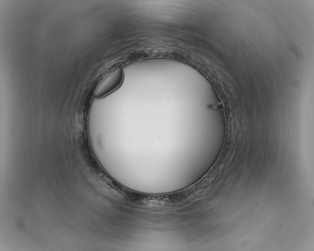 X0000112020756200908031041