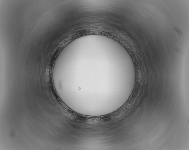 X0000112020757200908031041