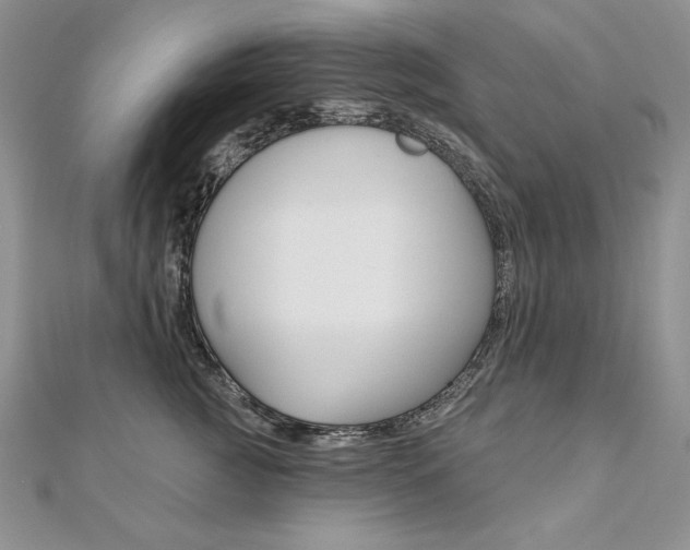 X0000112020761200908031041