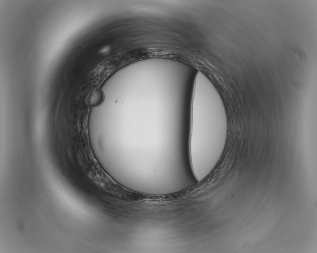 X0000112020763200908031041