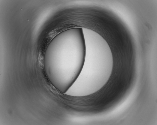 X0000112020766200908031042