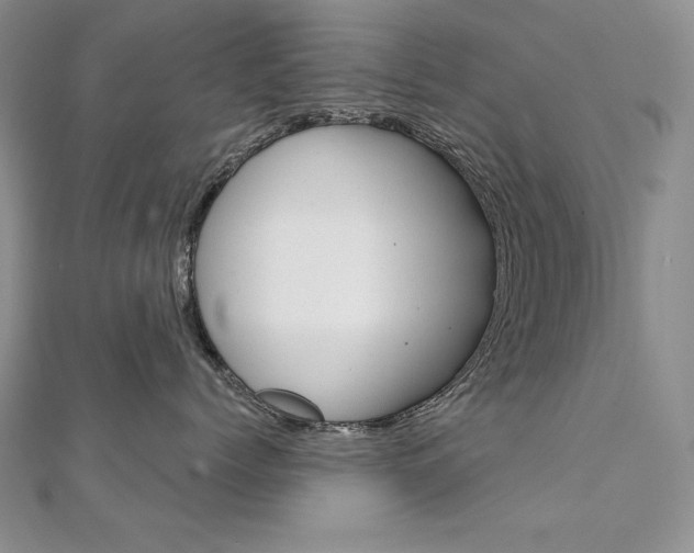 X0000112020768200908031042
