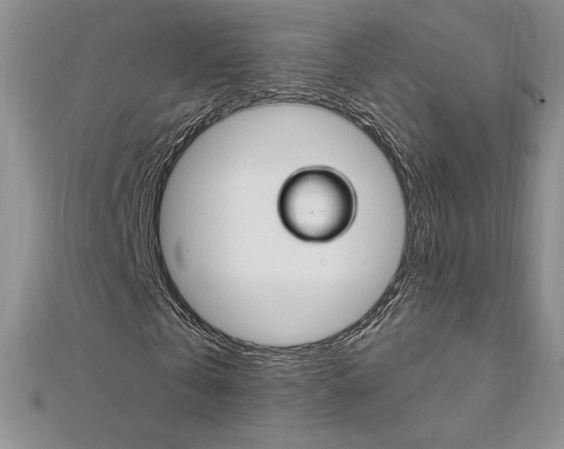 X0000112020769200908031041