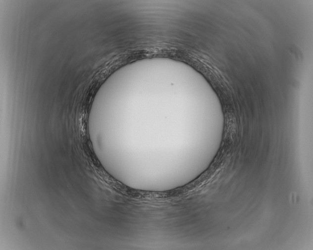X0000112020770200908031041