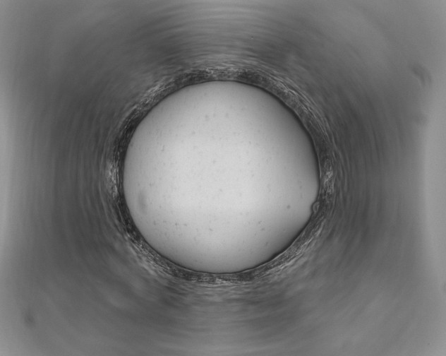X0000112020772200908031041