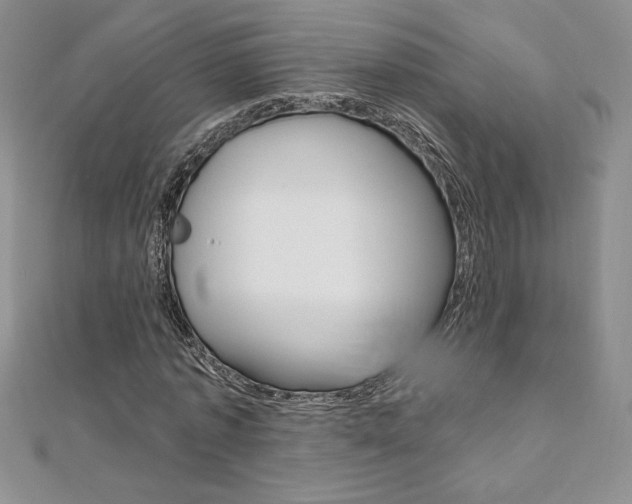 X0000112020773200908031041