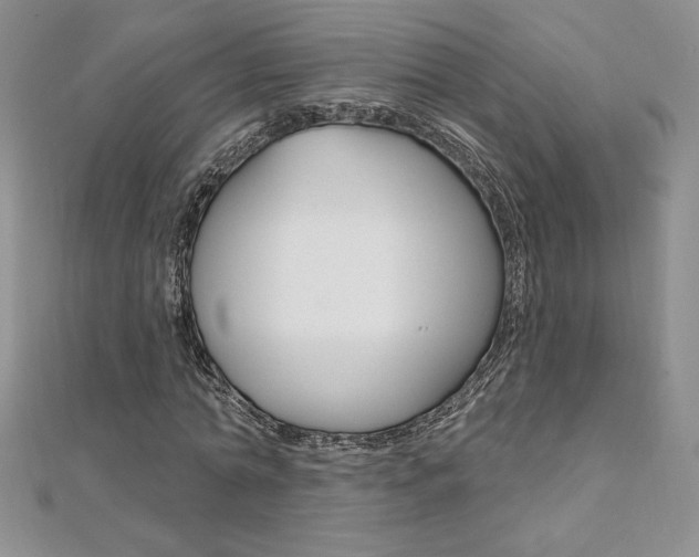 X0000112020774200908031041