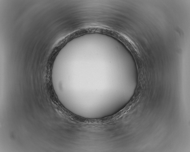 X0000112020775200908031041