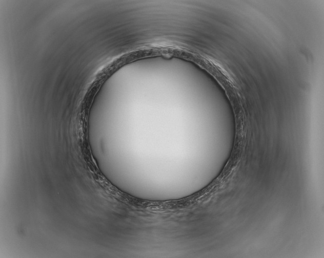 X0000112020776200908031041