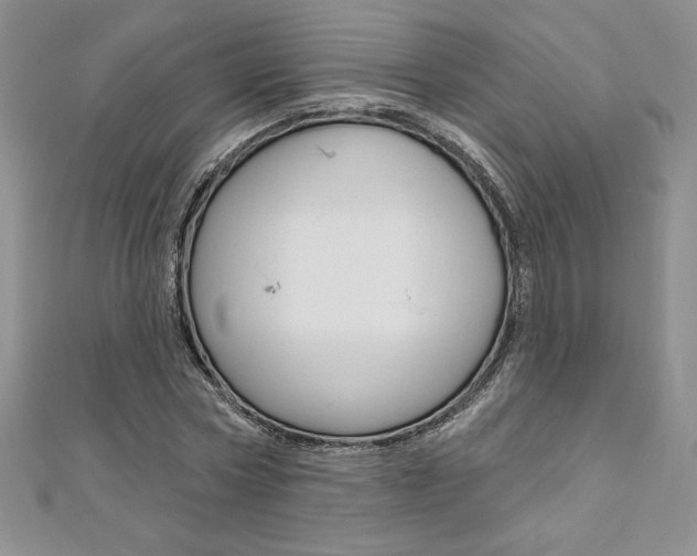 X0000112020778200908031041