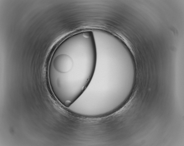 X0000112020779200908031041