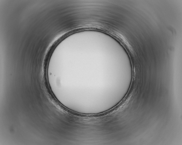 X0000112020780200908031041