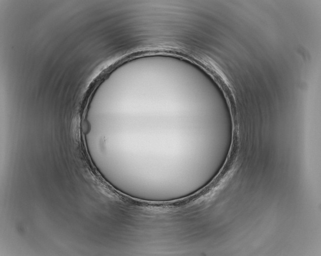 X0000112020781200908031041