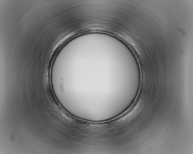 X0000112020782200908031041