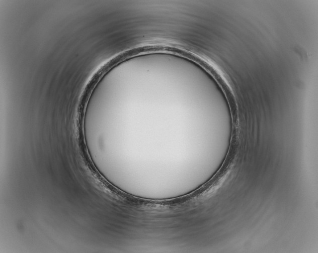 X0000112020783200908031041