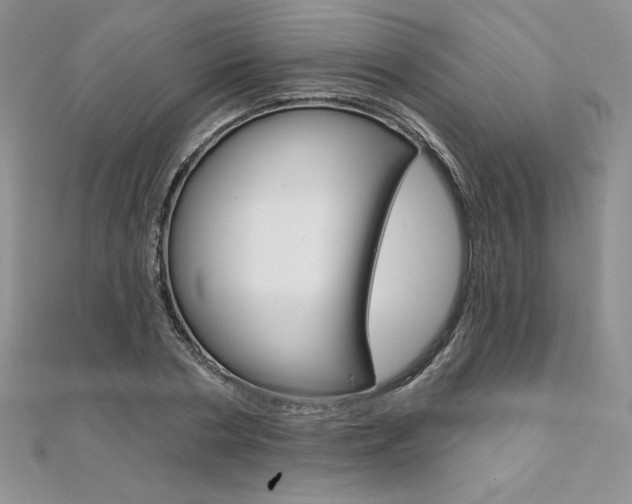 X0000112020786200908031041