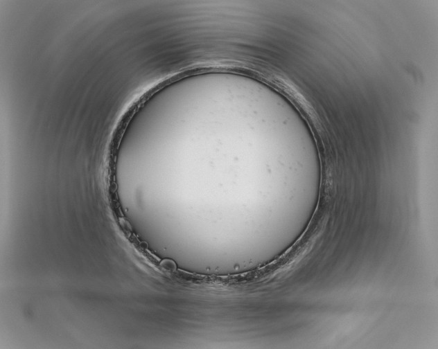 X0000112020787200908031041