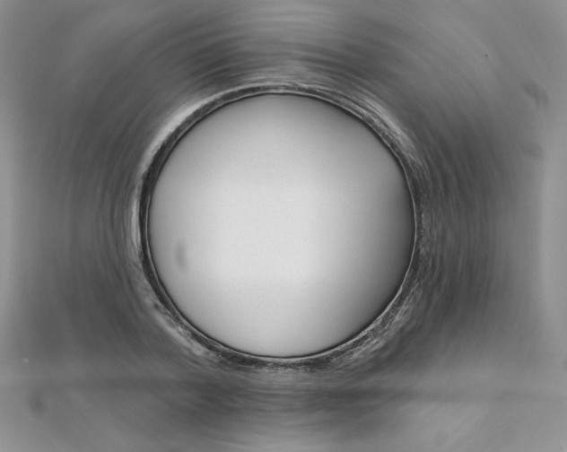 X0000112020788200908031041