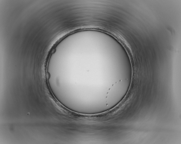 X0000112020789200908031041