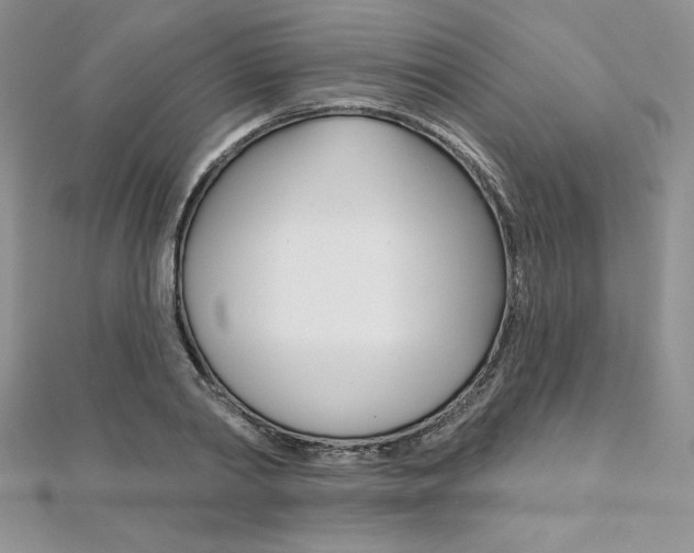 X0000112020790200908031041