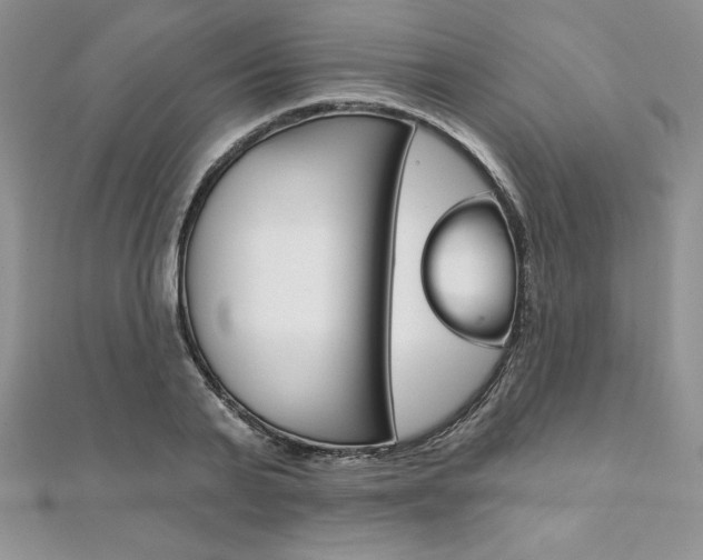 X0000112020791200908031041