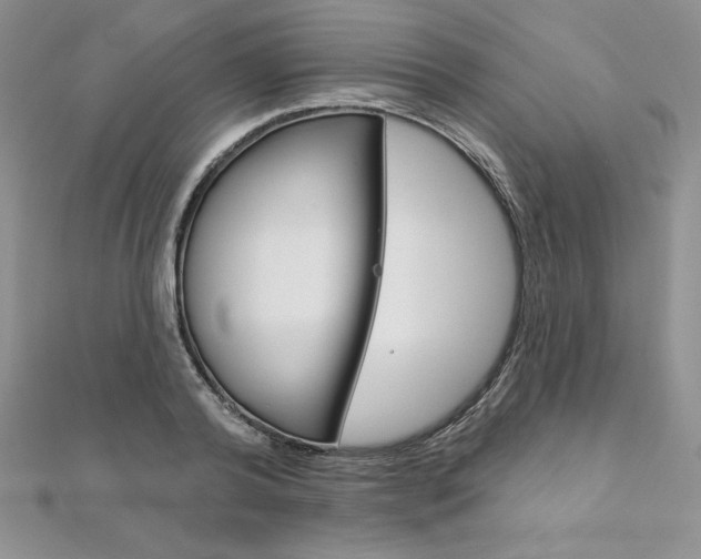 X0000112020792200908031041