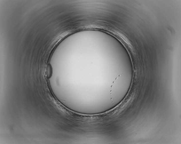 X0000112020793200908031041
