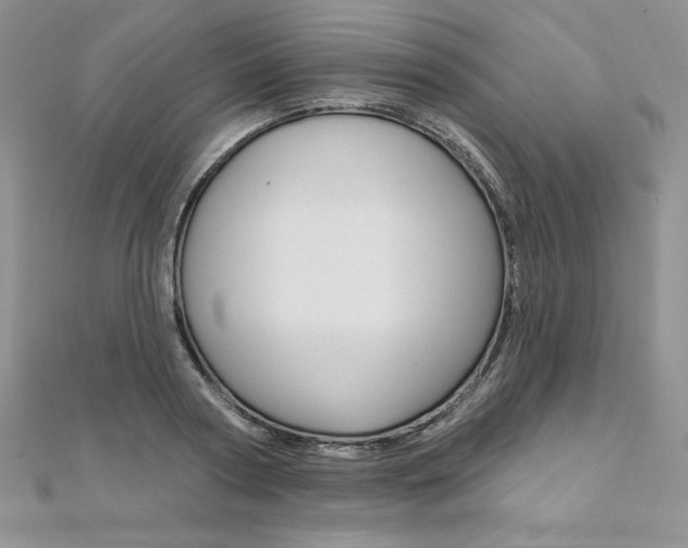 X0000112020794200908031041