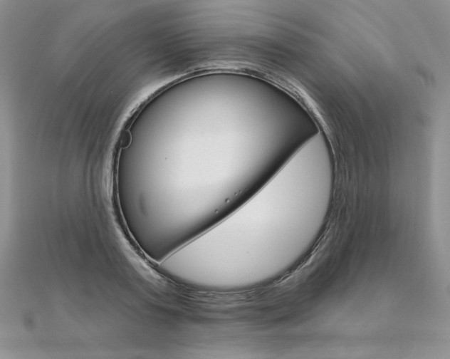 X0000112020795200908031041