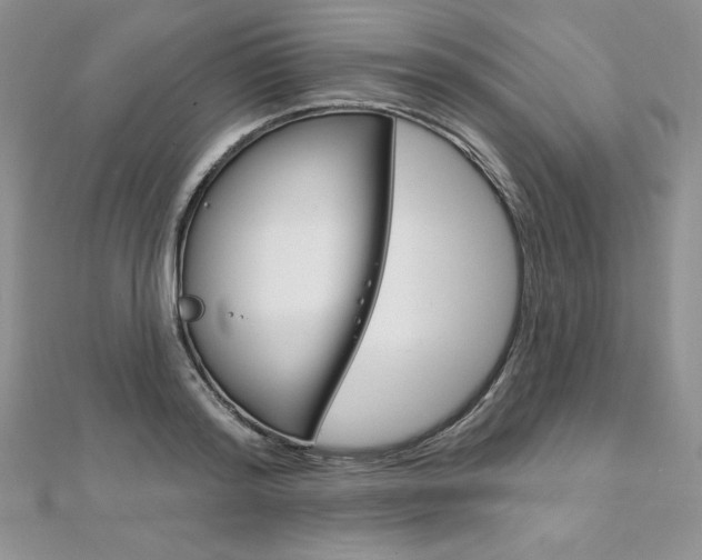 X0000112020796200908031041