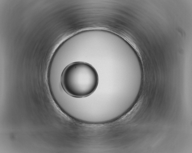 X0000112020797200908031041