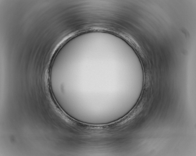 X0000112020798200908031041