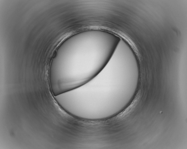 X0000112020801200908031041