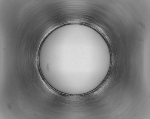 X0000112020802200908031040
