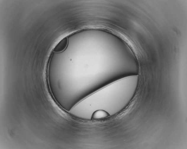 X0000112020803200908031040